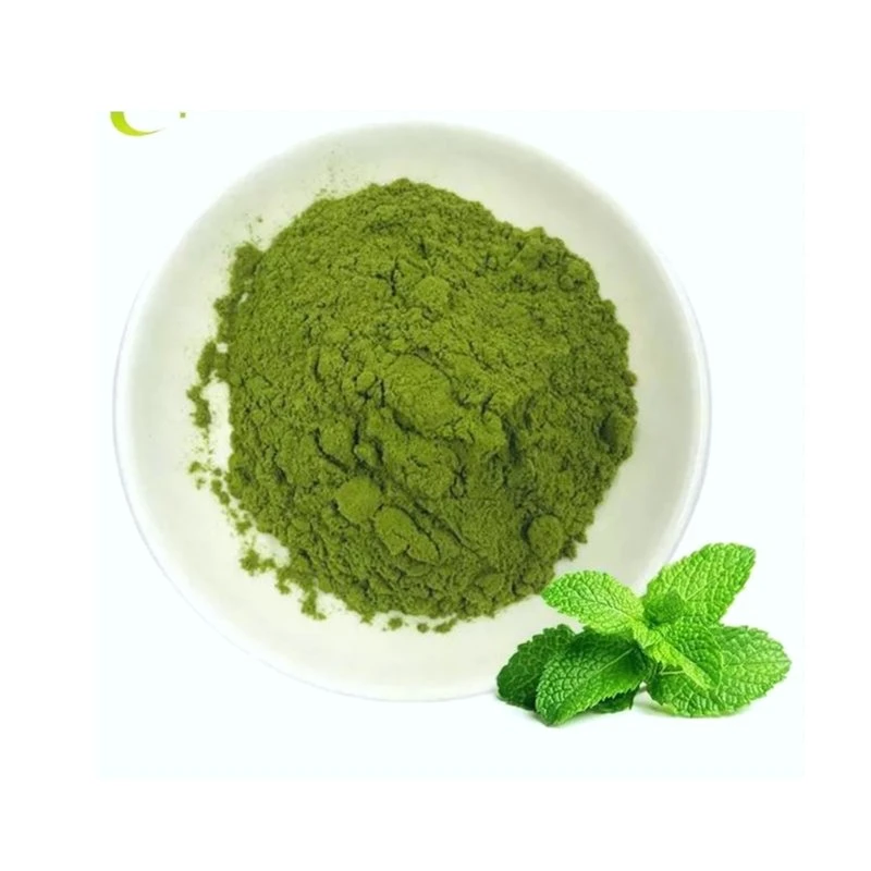 Geben Sie Peppermint Leaf Extract für die Gesundheitspflege