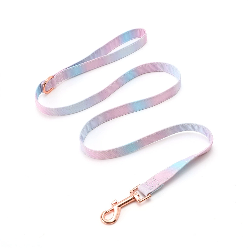 2022 New Products Pet Accessories Pet Leash Colorful Dog Lead