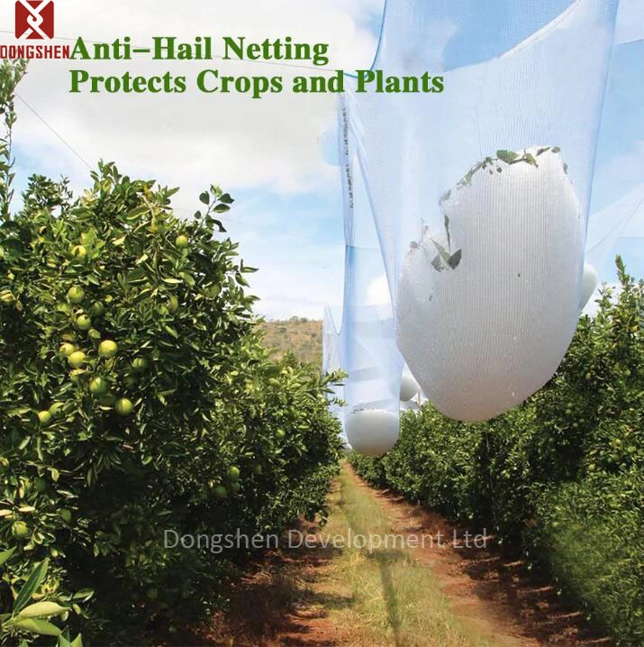 Blanco HDPE Jardín vivero malla Anti UV Hail plástico Protección Neto