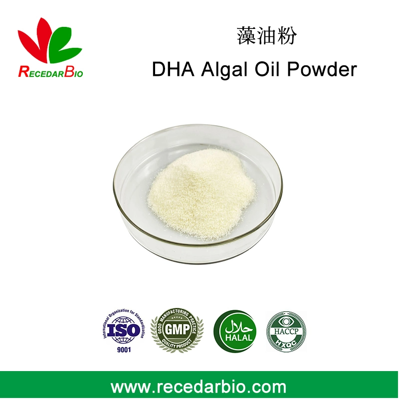 10% 20% Algal DHA Oil Powder