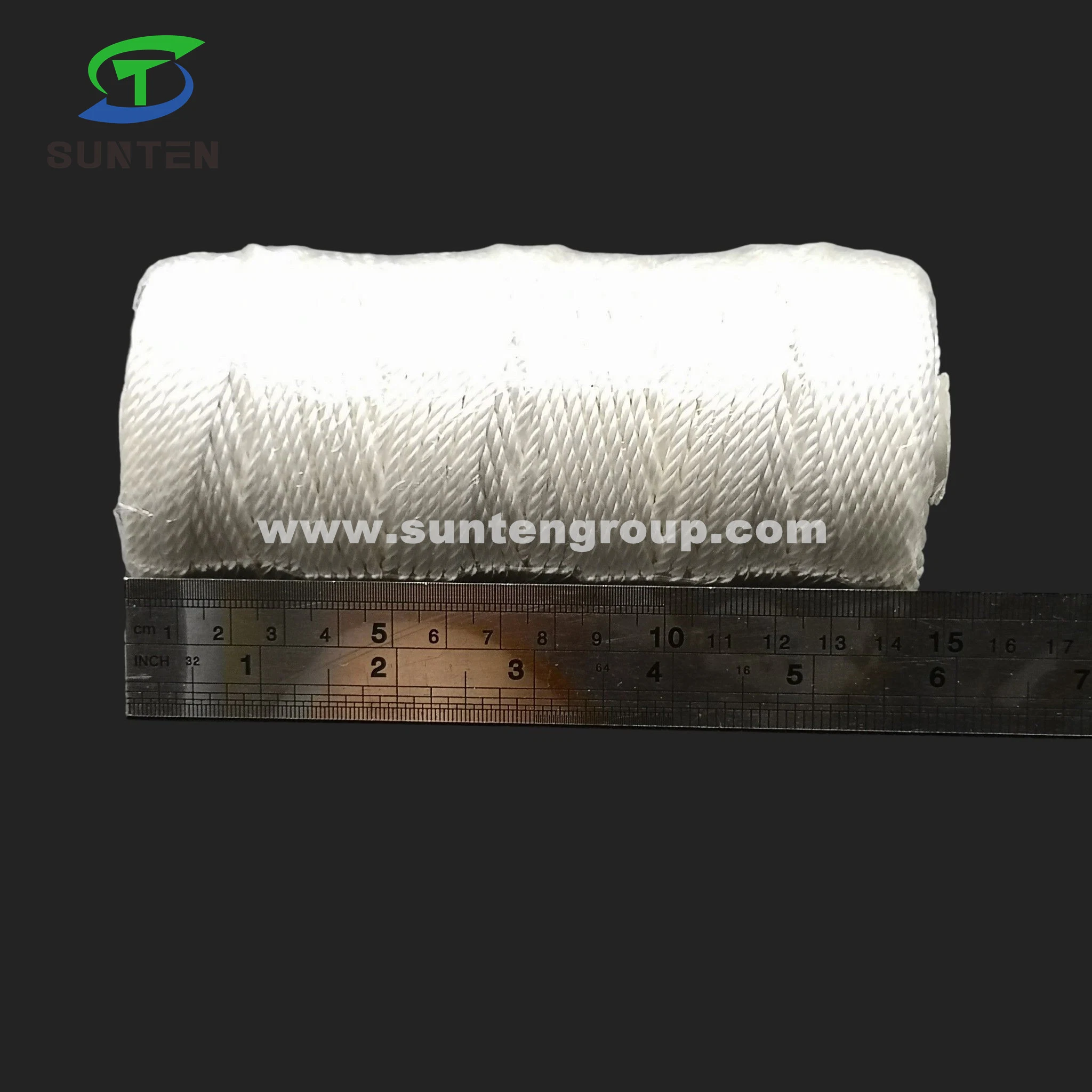 Factory Price High Tenacity White PE/PP/Polyester/Nylon/Polypropylene Plastic Twisted/Braided/Baler/Thread/Packing Line/Fishing Net Thread (210D/380D)