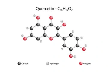 High Purity Extracted Products Food Additives Quercetin Powder Supplement