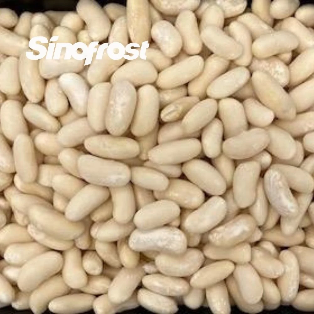 Sinofrost: Reliable IQF Frozen White Kidney Beans Bulk Supplier & Wholesale/Supplier Distributor