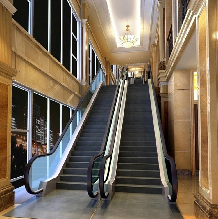 Professional Manufacturer Energy Saving Price Automatic Electric Lift Escalator