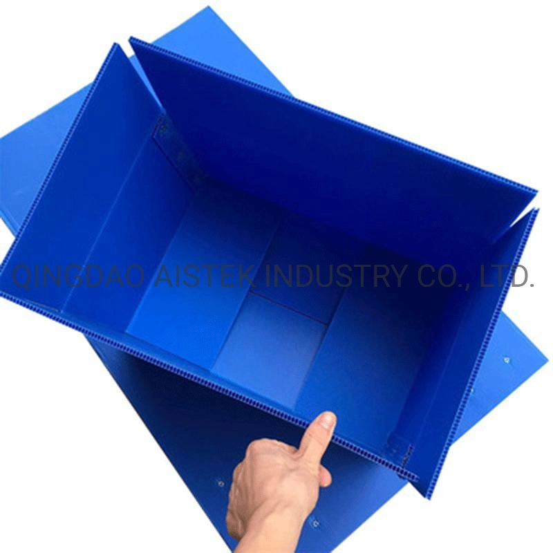 Reusable Polypropylene Corrugated Plastic Carton Box for Packing