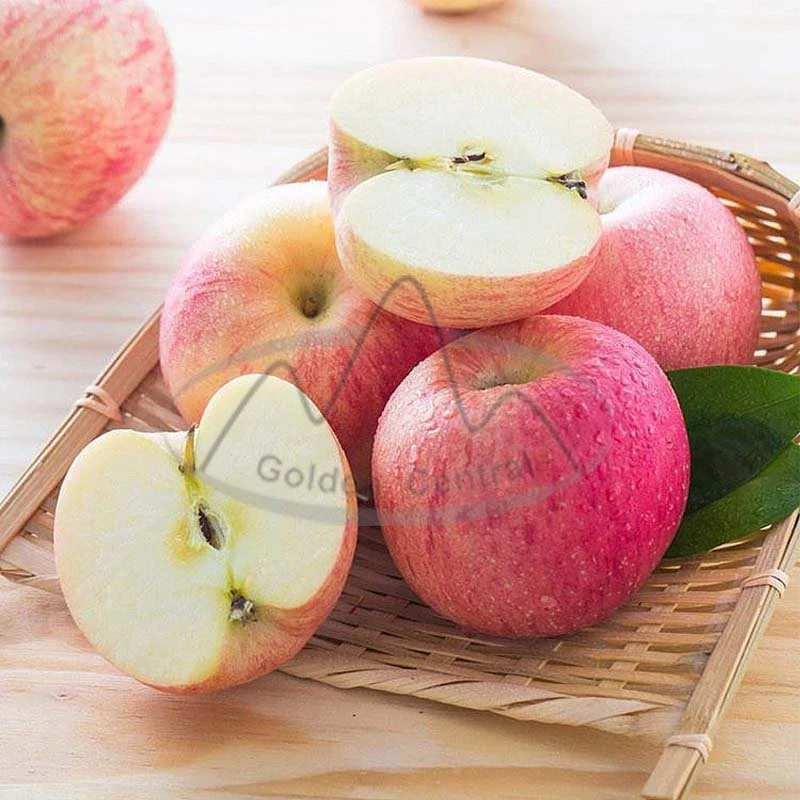 A Grade Food Grade Fresh Apple Red Apples