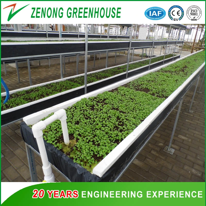 UV Treated Durable Plastic Film Covered Greenhouse for Agriculture Hydroponic Growing Vegetables