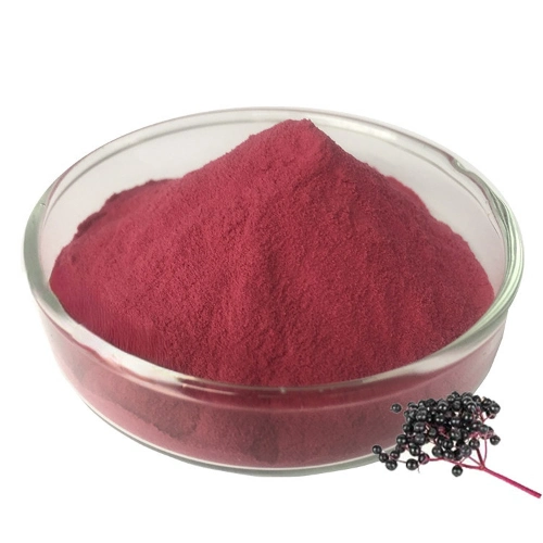 Factory Direct Supply Good Price Elderberry Extract