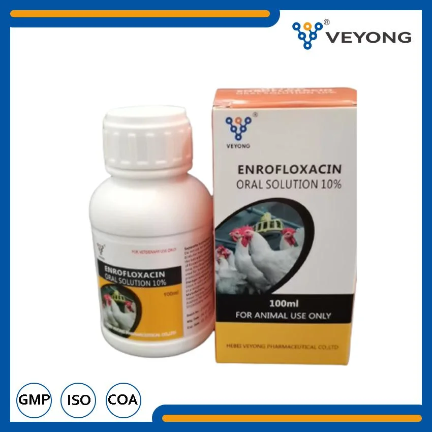 Veterinaria el Mejor Precio venta al por mayor 100mg enrofloxacina Solución Oral para la capa pollo de las fábricas de productos farmacéuticos en China