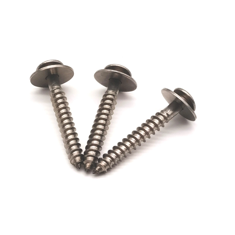 Stainless Steel Drywall Wood Roofing Phillips Chipboard Machine Screw Self Tapping Self Drilling Screw