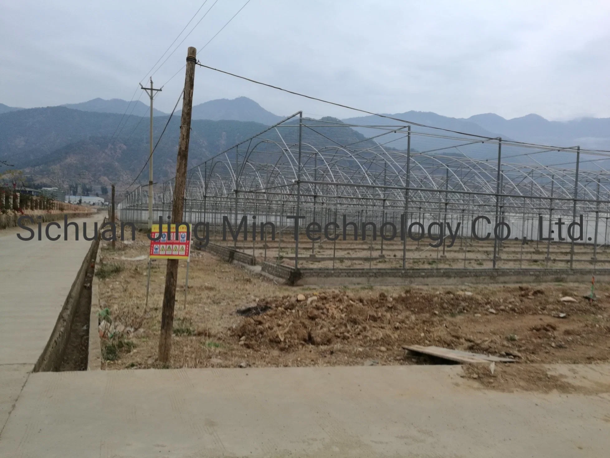 Galvanized Steel Frame Greenhouse Single Span PE Film Greenhouse for Agriculture Low Cost Tunnel Greenhouse