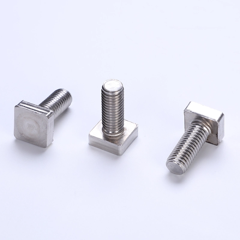 Manufacture Non-Standard T Bolt Square Head Bolt A2/A4 Stainless Steel