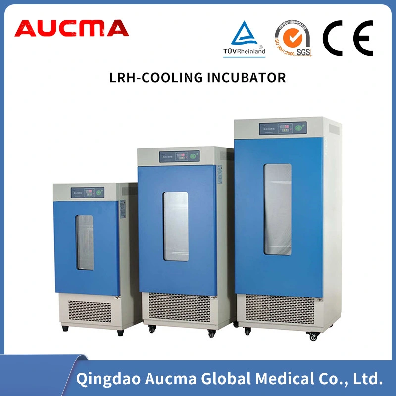 Laboratory Constant Temperature and Humidity Test Chamber for Industrial Research and Biotechnology Test