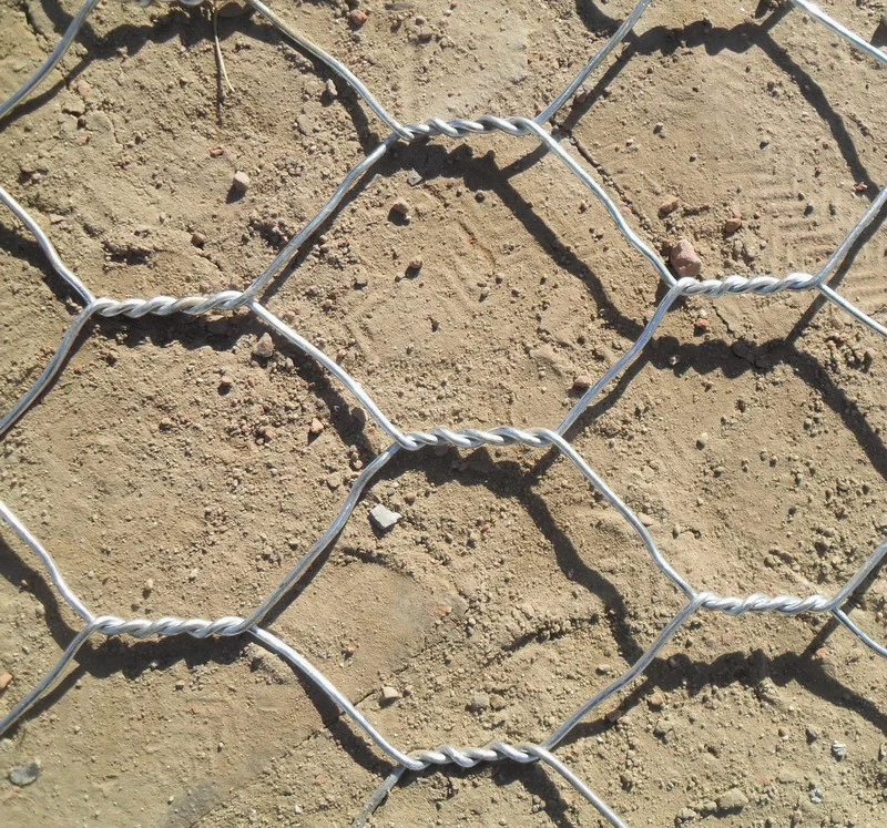 Hexagonal Galvanized Iron Wire Mesh and Chicken Wire Mesh and 1 Inch with SGS From Original Factory