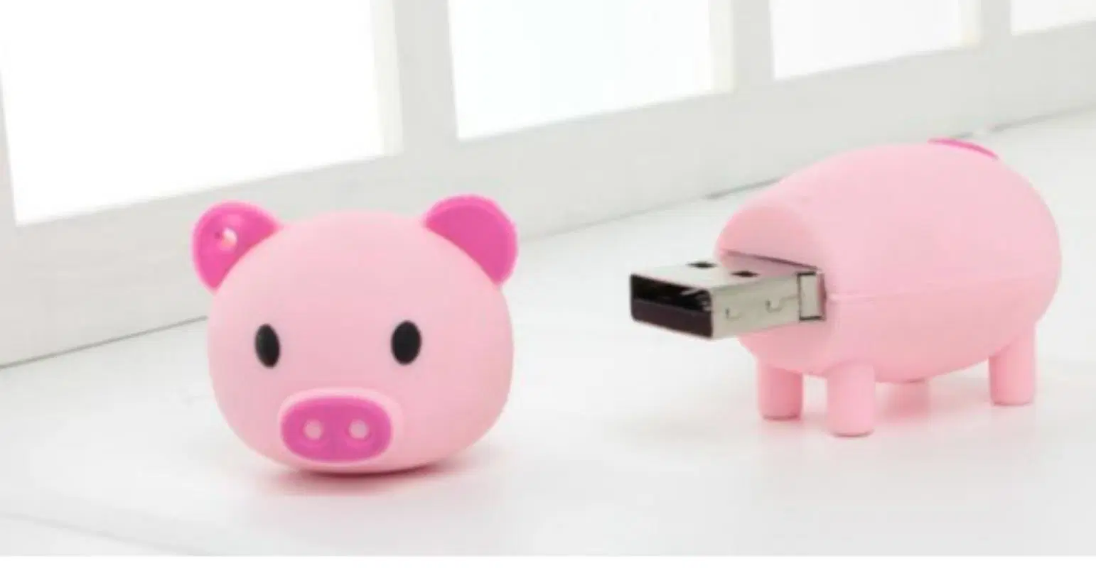 Pig Shape Pendrive 64GB 128GB USB Flash Drive, Pen Drives USB (CMT-ES27)