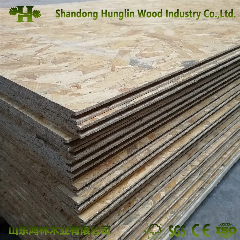 1220*2440*18mm Factory-OSB Pine WBP Glue