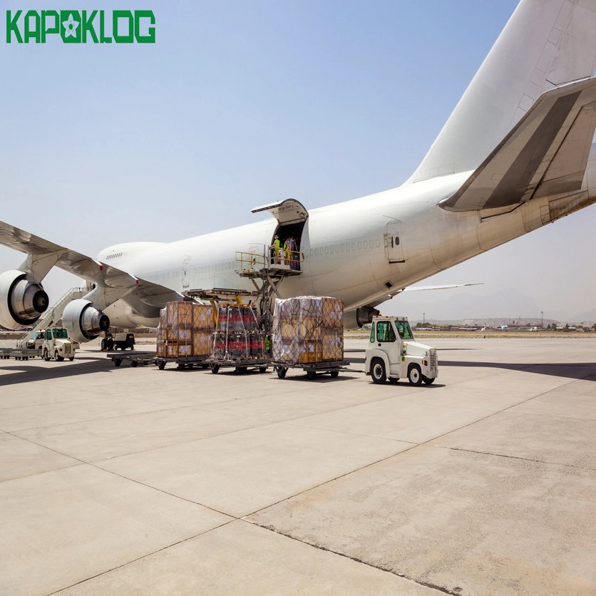 Fba Air Freight Apparel &amp; Textile Logistics Services Shipping Forwarers من الصين إلى نيوزيلندا
