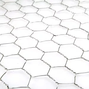 Heavy Duty Hexagonal Stainless Metal Gabion Wire Mesh for Sale