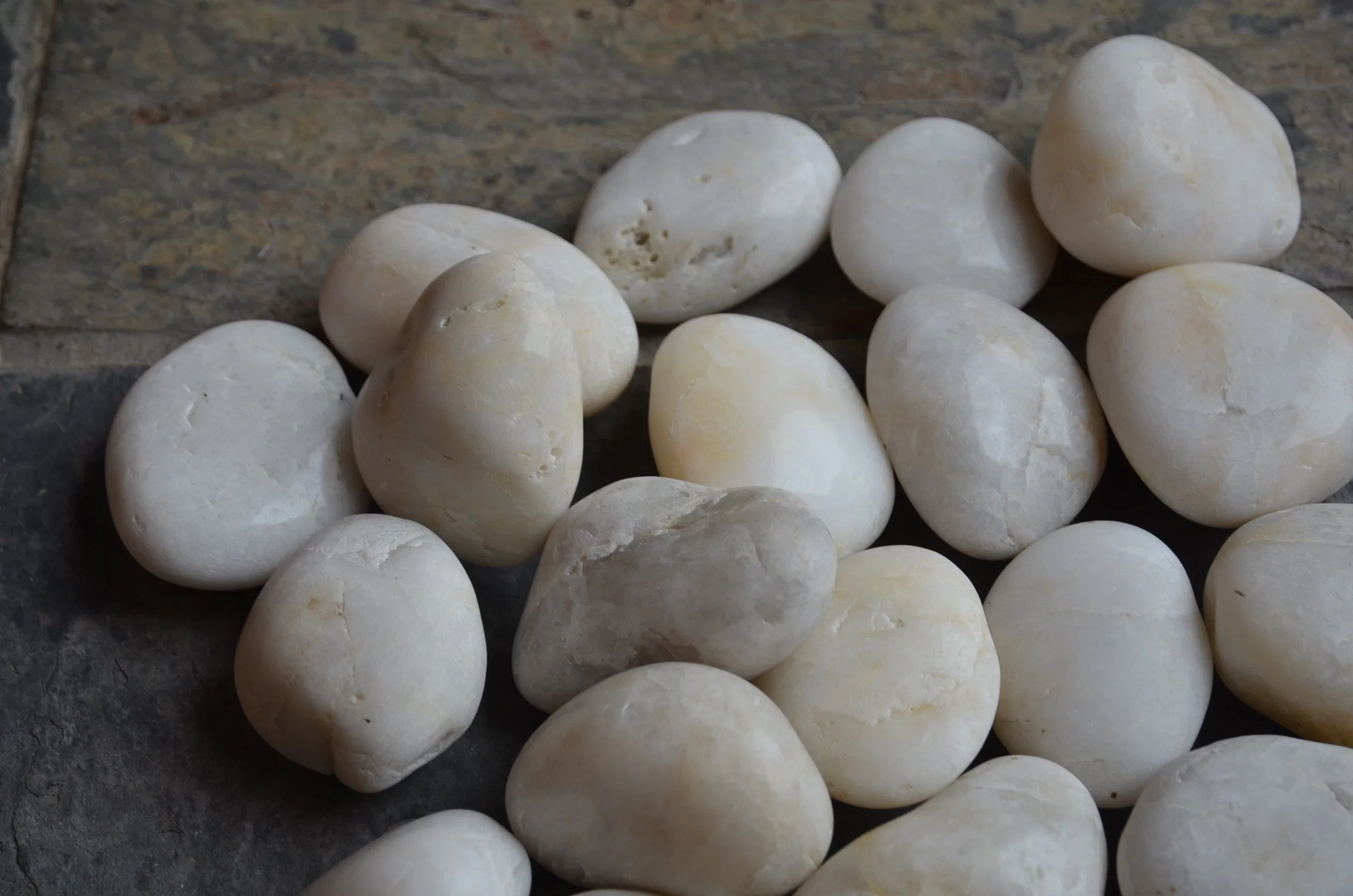 Commercial Use Natural Oval White Bathroom Tile Pebble Stones