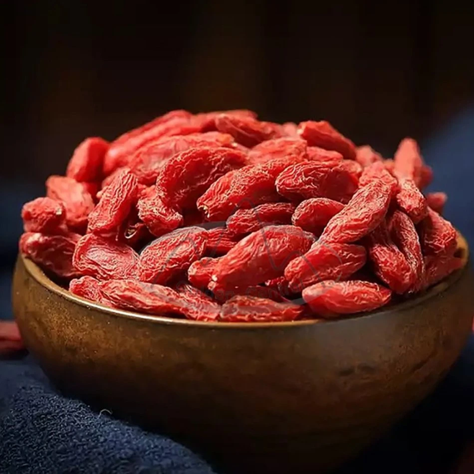 Горячие продажи Ningxia Bulk Goji Берри Оптовая Red Goji Берри