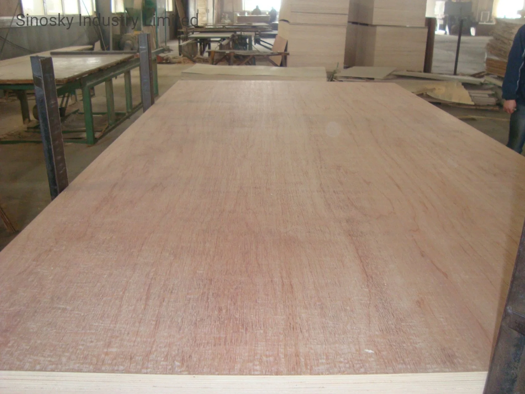 Poplar Core Plywood, South America Market Plywood, EV Plywood, Two Times Plywood