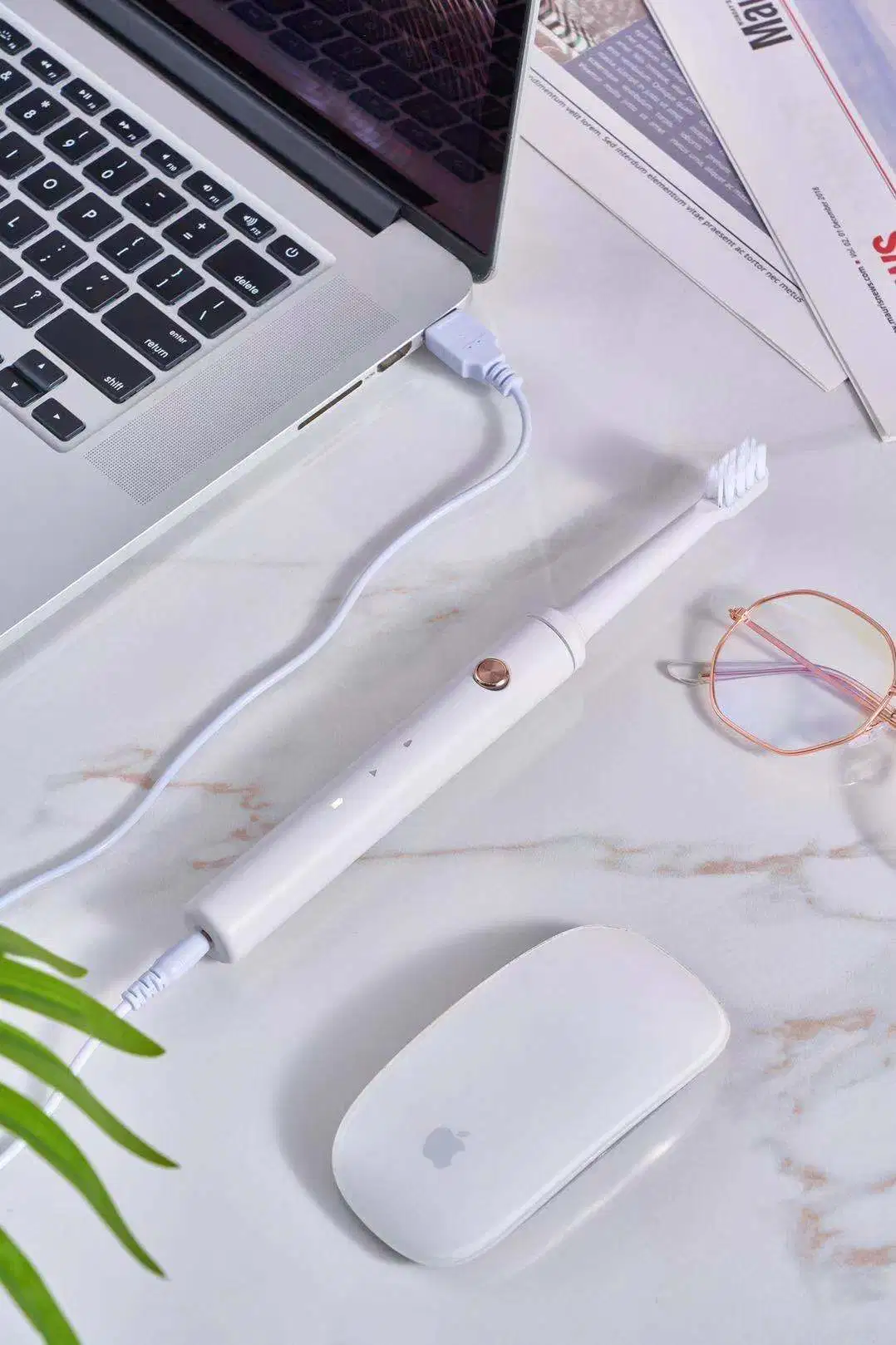 2022 New Rechargeable Ipx7 Sonic Electric Toothbrush for Japanese&South Korea Consumers