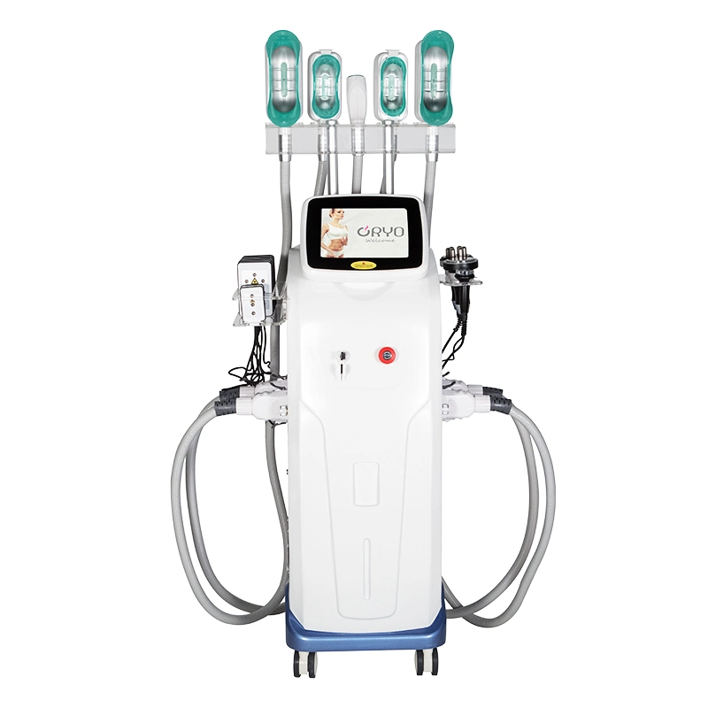 Effektive Body Sculpting Fat Freeze Therapy Vakuum Kavitation System Schönheit Ausrüstung