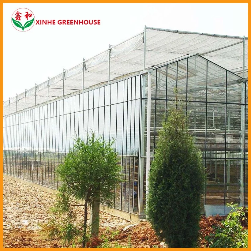 Tempered Glass 12m Span Multi-Span Garden Fruits Conservatory Flower House Greenhouse