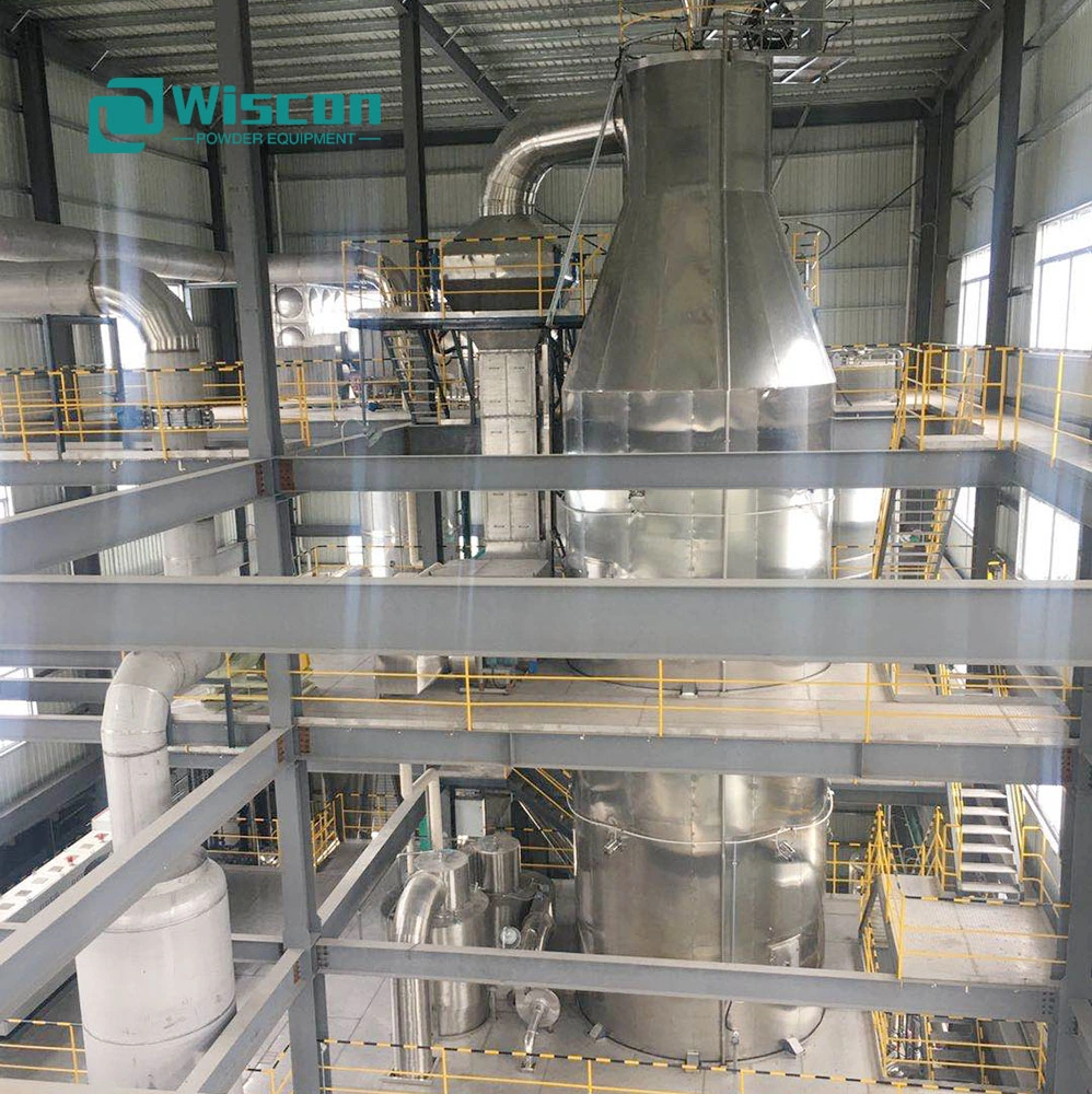 Sweet-Savory Flavors Industrial Spray Dryer Drying Tower Machine for Sale