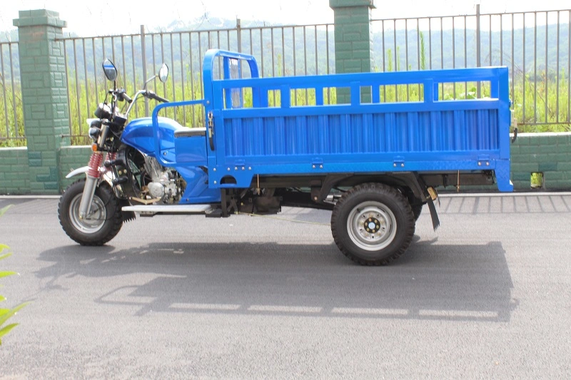 Hree Wheeled for Cargo Electric Cargo Tricycle Auto Rickshaw Passenger Wheel Motorcycle