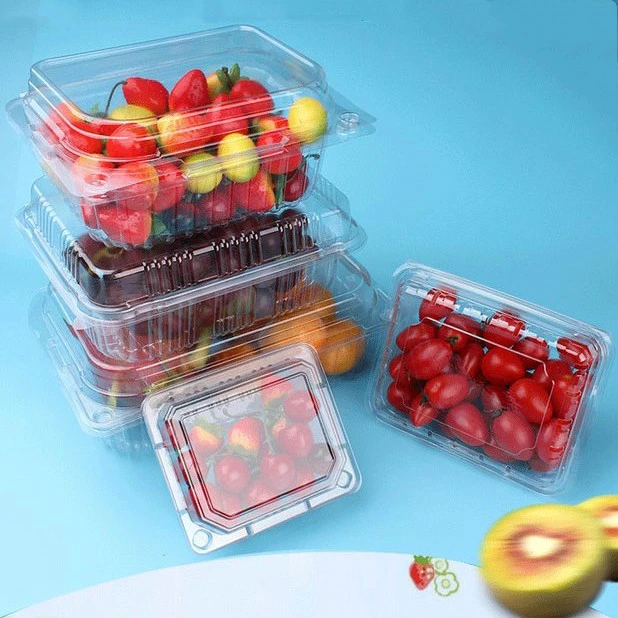 wholesale factory  PET Fruit and vegetable  punnets Food Container with EU regulation