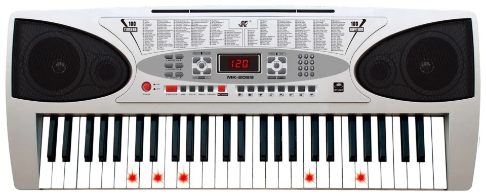 Hot Selling 61 Keys Electronic Organ/Electronic Keyboard Instrument