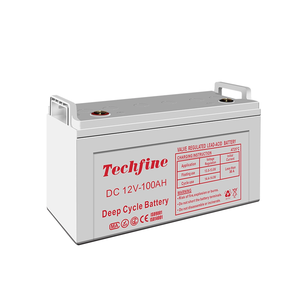 Techfine China Made Quick Charging Lead Acid Battery Charger with ISO Certification