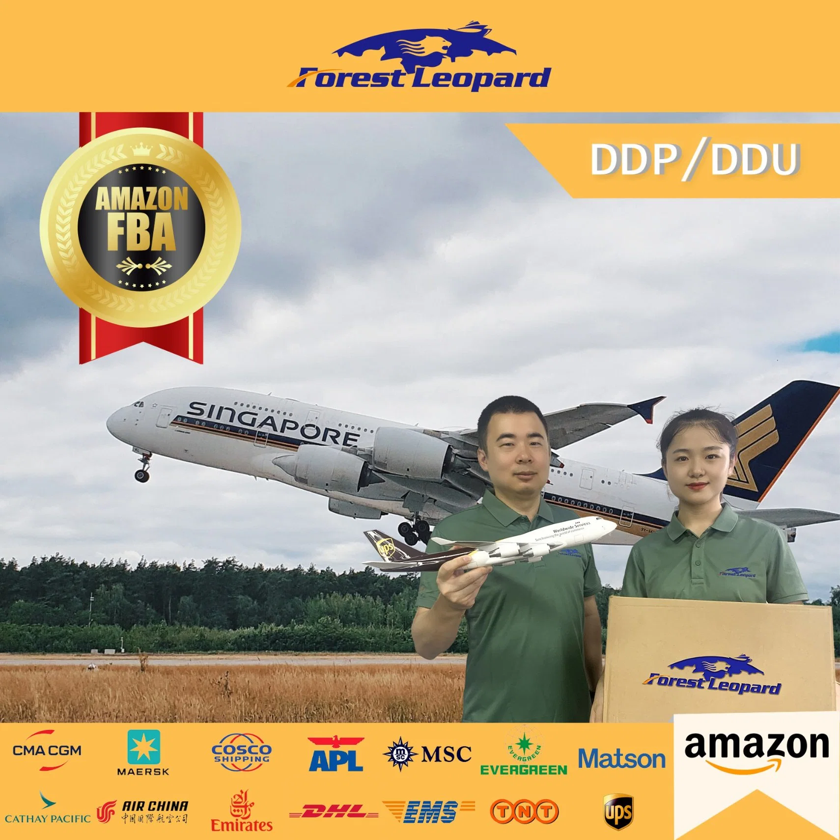 Freight Forwarder to USA/UK/Italy/France/Netherlands /Germany Fba Amazon by Air Shipping From China DDP Door to Door Service