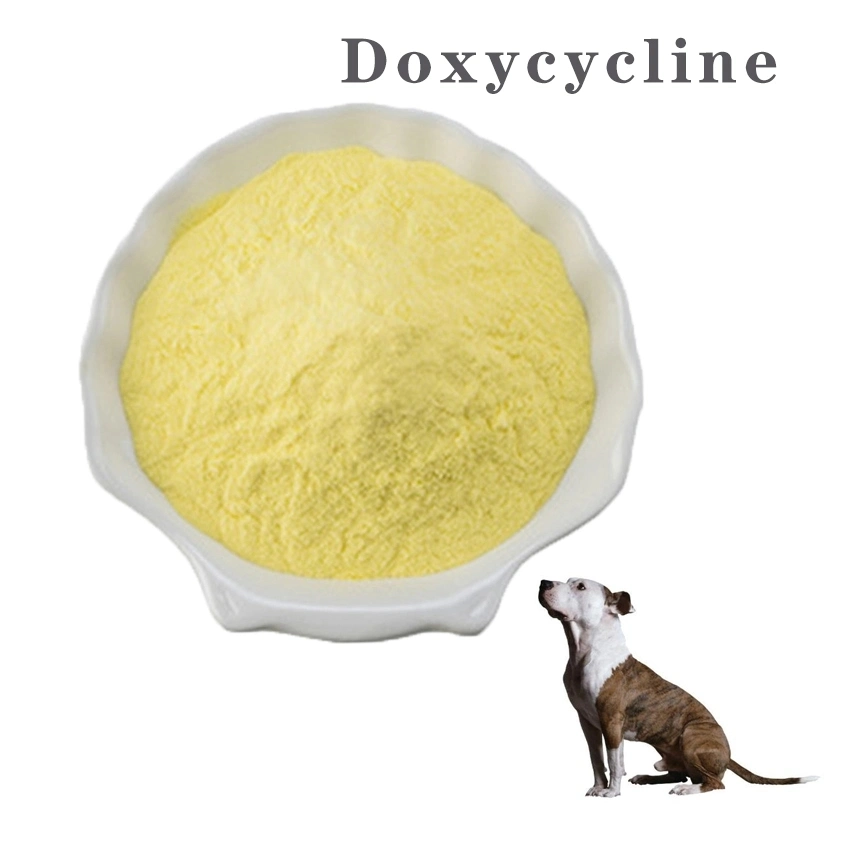 Poultry GMP Factorypharmaceutical Intermediate Doxycycline Hyclate Raw Powder CAS 24390-14-5 Doxycycline Hyclate