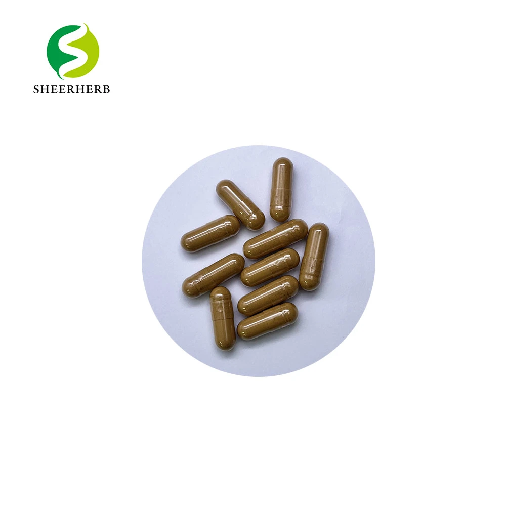 Astragalus Membranaceus Plant Root Extract Powder 10: 1 Astragalus P. E