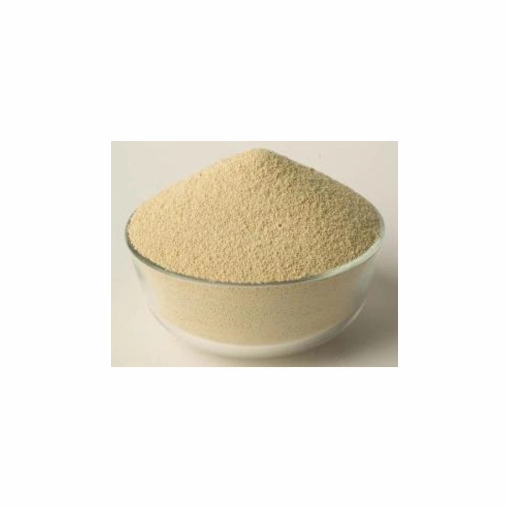 Factory Supply CAS 9005-38-3 Sodium Alginate