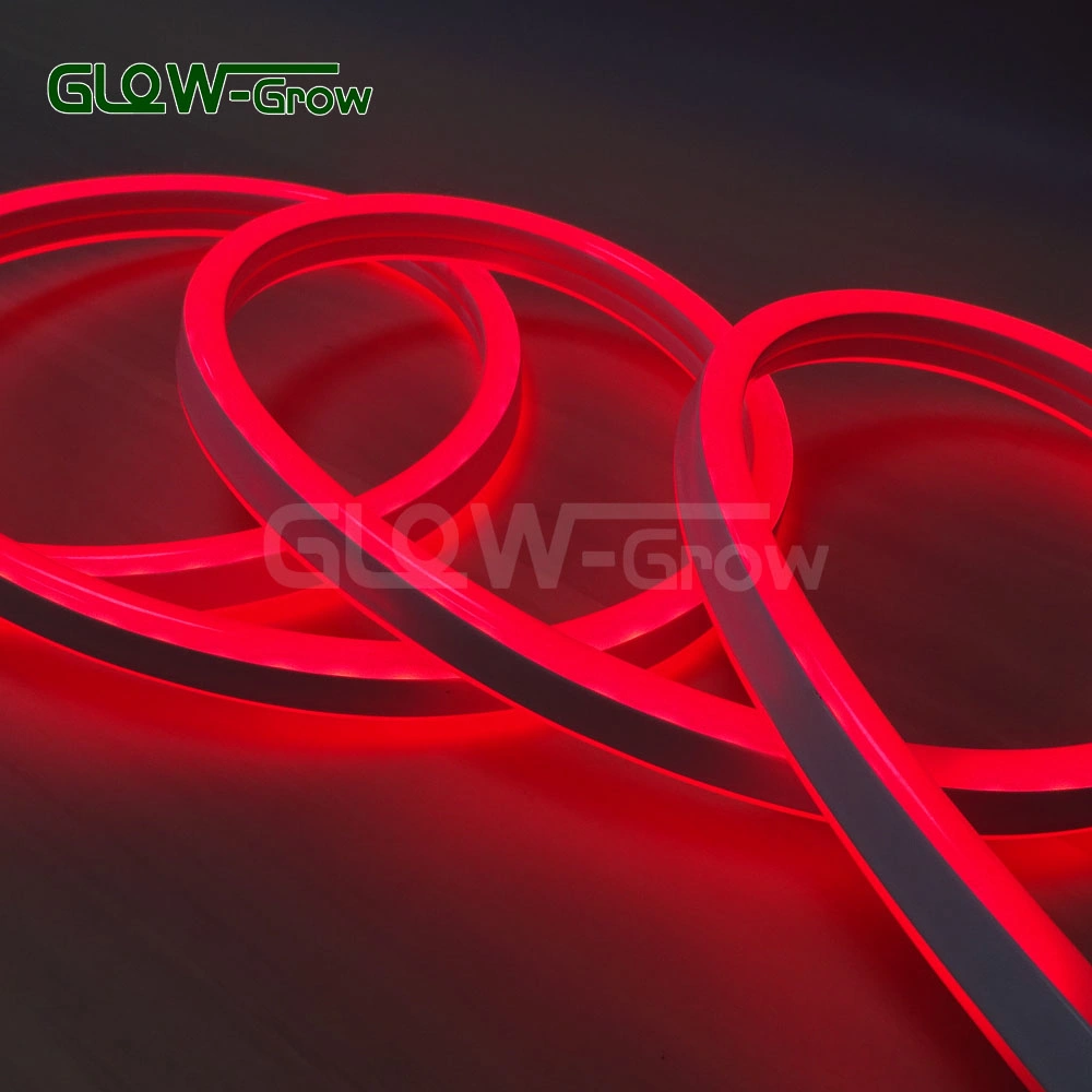 Factory ETL UL IP65 5050 RGB Sync Flexible Strip Light LED Neon Light for Highlight Landscape Building Lighting Wedding Holiday Decoration