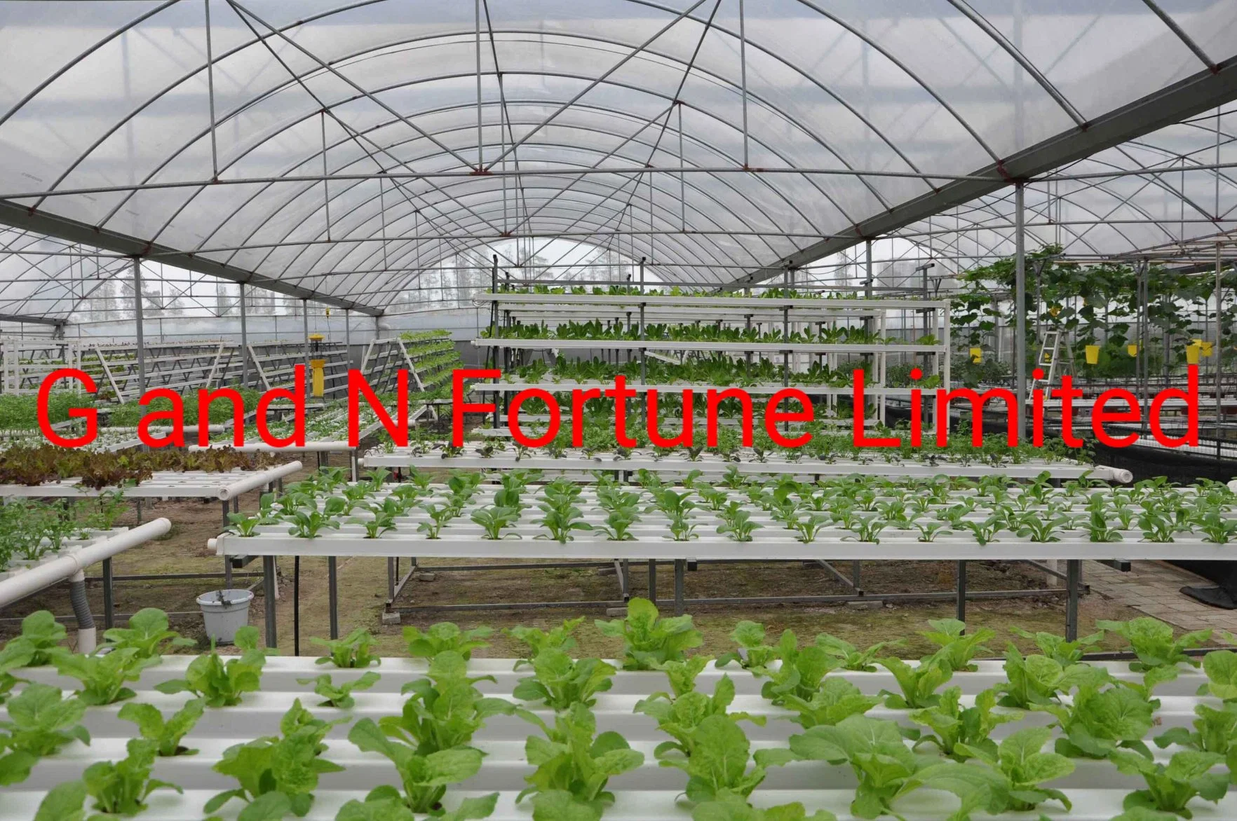 Nft Sistema de Cultivo hidrop ico NFT Vala Sistema de canais com 100x50mm