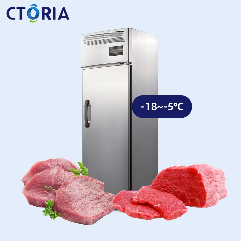 Personalización del cliente Ctoria Foaming Puerta asequible Equipo de hielo Restaurante nevera Congelador de pie refrigerador comercial