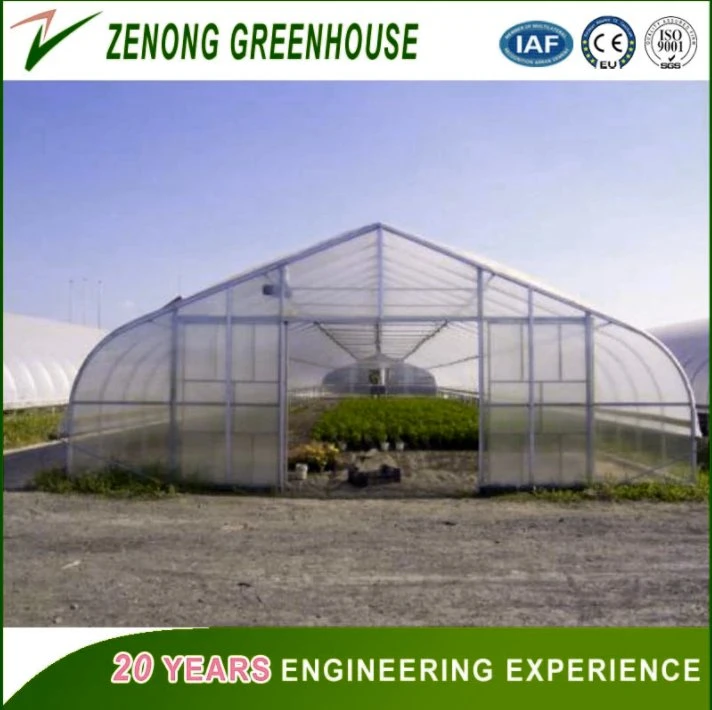 High quality/High cost performance UV Treated Plastic Film Greenhouse for Agriculture Cultivation/Hydroponics/Growing Vegetables/Fruits/Flowers