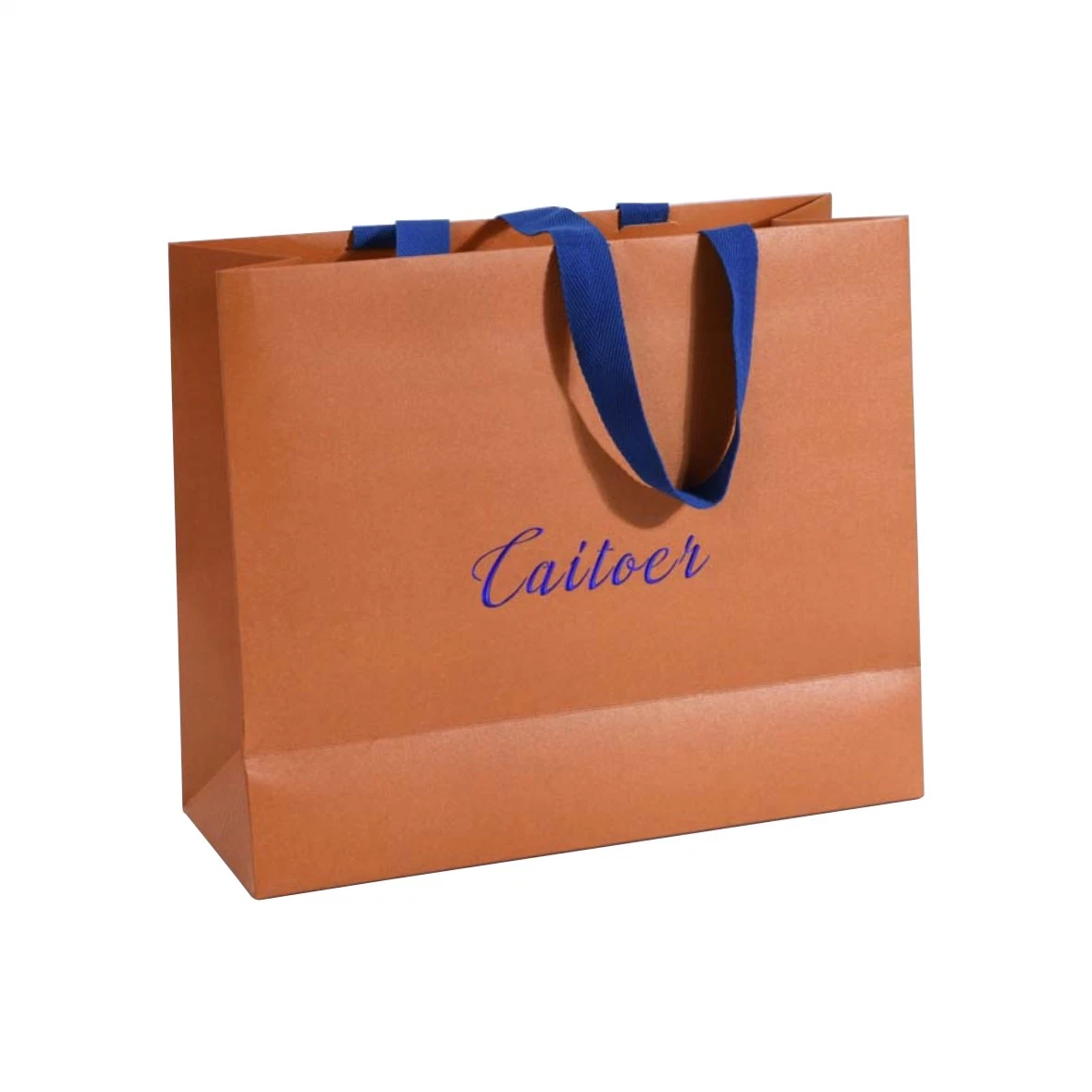 China Manufacturer Custom Printed Logo Craft Paper Packaging Bag with Ribbon Handles