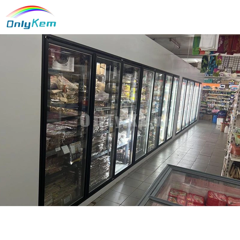 Supermercado / Tienda de ultramarinos a pie en el refrigerador y congelador de la puerta de cristal mostrar un cuarto frío.