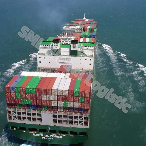 Sea Freight Agent/Logistics Forwarder/FCL/LCL/Cosco/EMC/Msk/Msc/Cma/Whl/Yml/Sml/Oocl From China to Indonesia Belawan