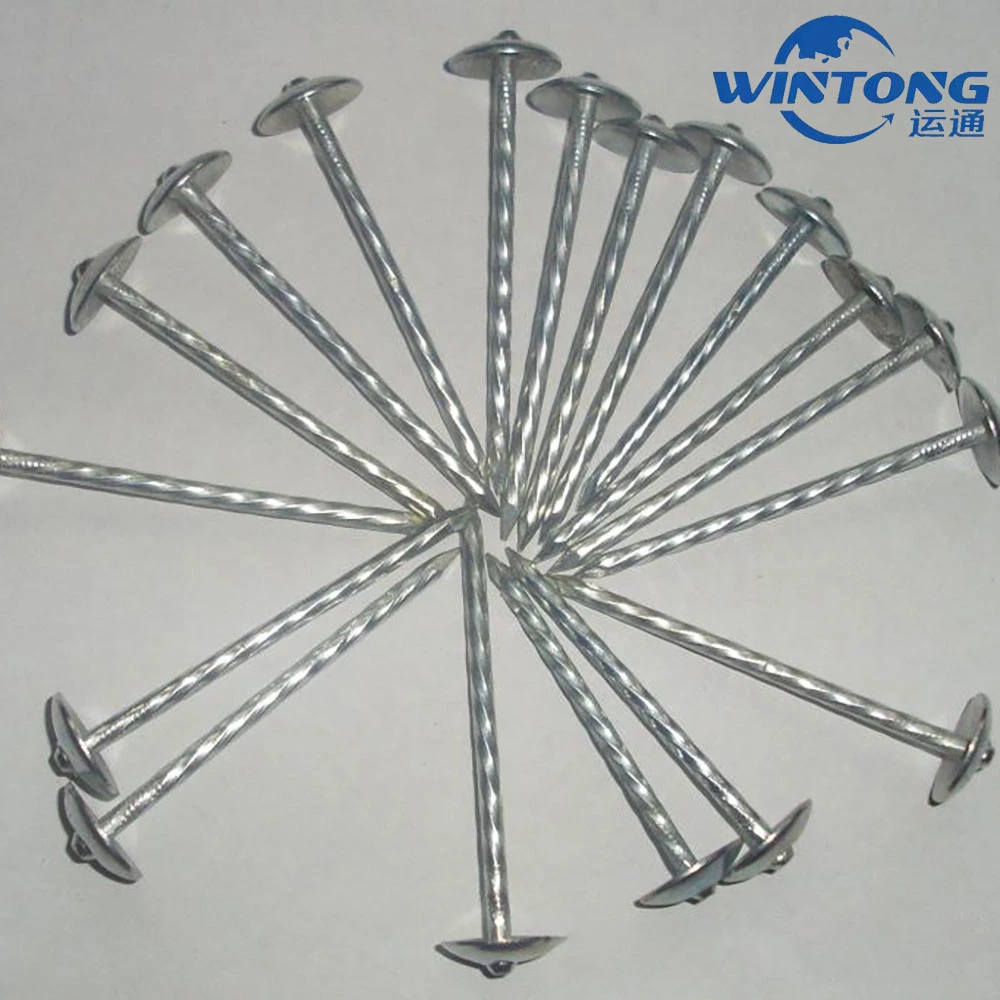 Large Head Umbrella Roofing Nails/Concrete Nails Hot-Dipped Galvanized Concrete Nail Smooth Shank /Concrete Made in China