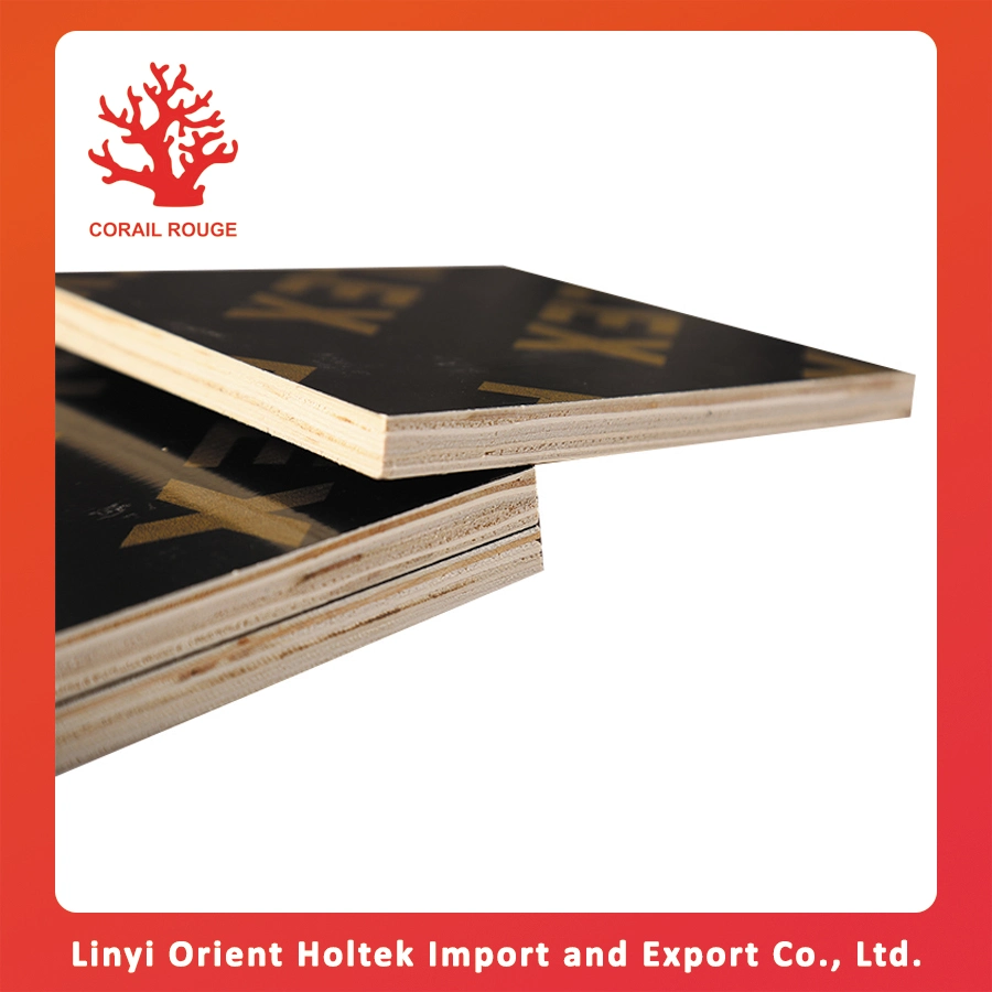 Plywood Manufacture in Linyi China/Poplar Plywood/Hardwood Plywood for Construction 1220*2440mm