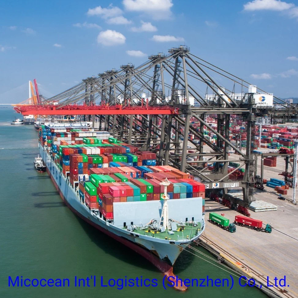 FCL/LCL Sea Shipping Container Service von China nach Libyen