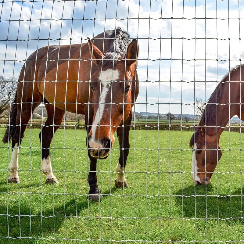 Langlebiger Farmzaun für Rinder- und Pferdegehäuse