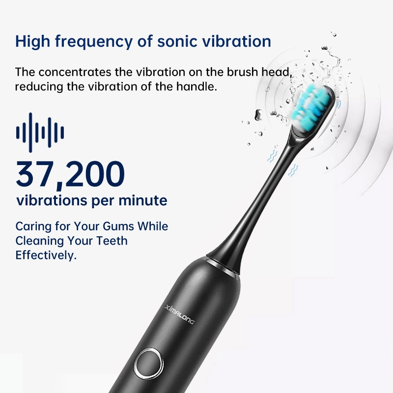 Best Selling Replaced Brush Head Waterproof LED Light Electric Toothbrush for Teeth Whitening