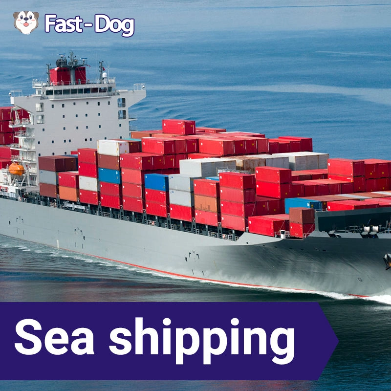 China Freight Forwarder para EUA Warehouse França Fba Amazon Frete Marítimo DDP de transporte porta a porta de serviço de entrega